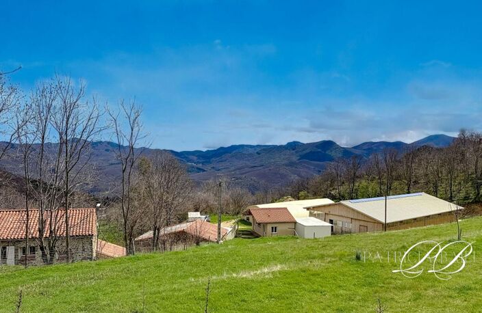 Proprieté Eco-rurale de 54 ha — photo 5
