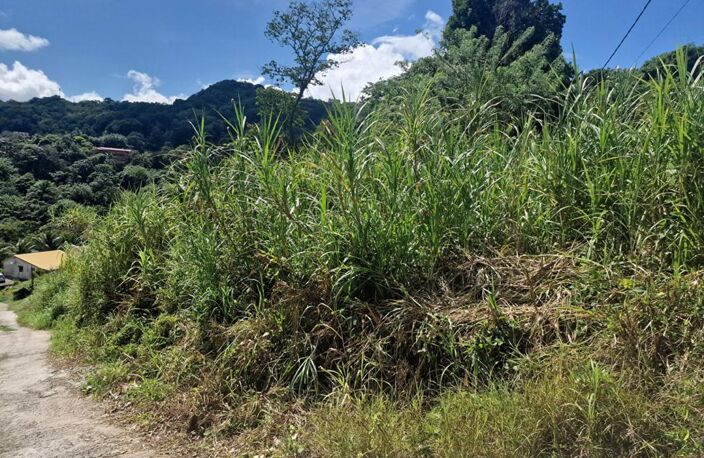 Terrain  585 m2 — photo 2