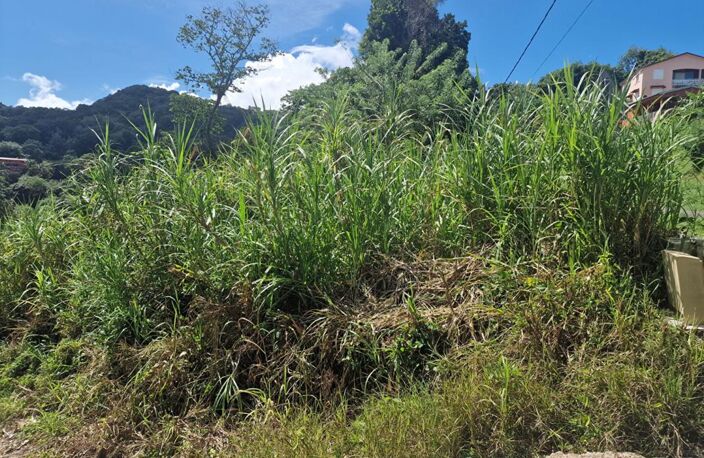 Terrain  585 m2 — photo 3