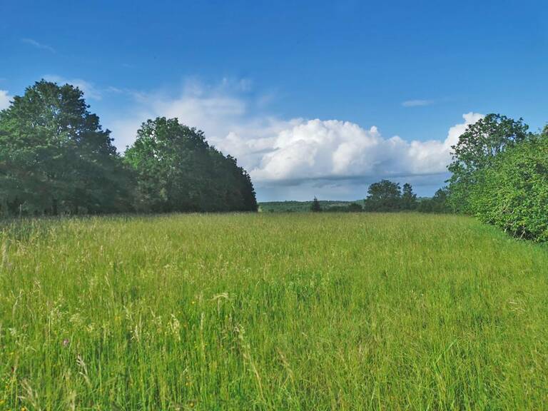 Terrain  constructible 5580 m2 La Cassagne — photo 1