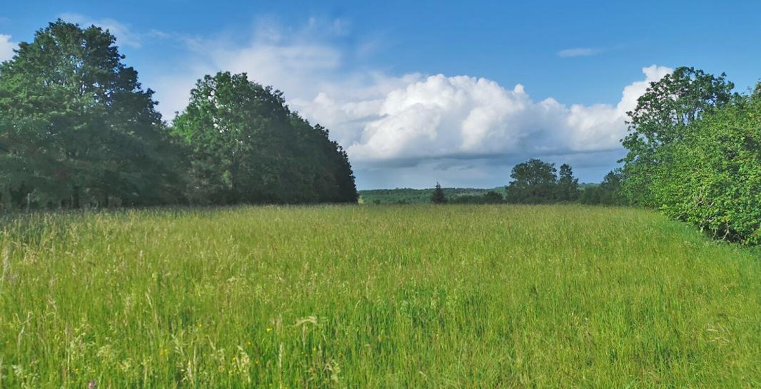 Terrain  constructible 5580 m2 La Cassagne — photo 1