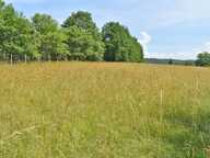 Terrain  constructible 5580 m2 La Cassagne — photo 4