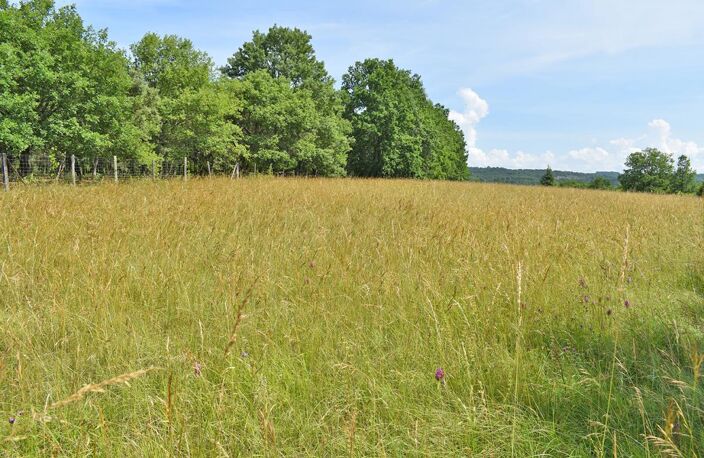Terrain  constructible 5580 m2 La Cassagne — photo 4