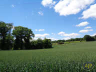 Terrain Serent 1042 m2 — photo 2