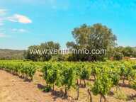 LA GARDE-FREINET : propriété viticole avec maison — photo 2