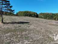 Vente Terrain à bâtir 3 015 m&sup2; — photo 3