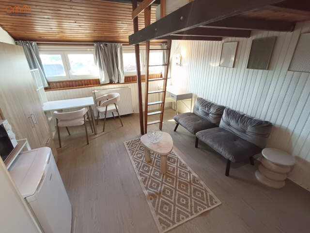 Grand studio 20m2 avec mezzanine — photo du bien