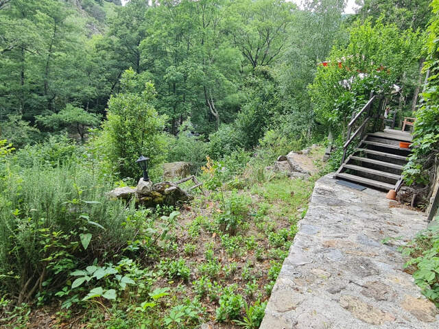 Maison et jardin en bordure de rivière - à rafraîchir - toit — photo du bien