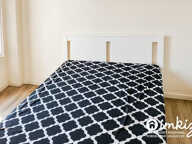 Appartement 2 pièces avec calme, vendu loué — photo 4