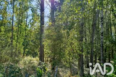 Terrain  18000 €