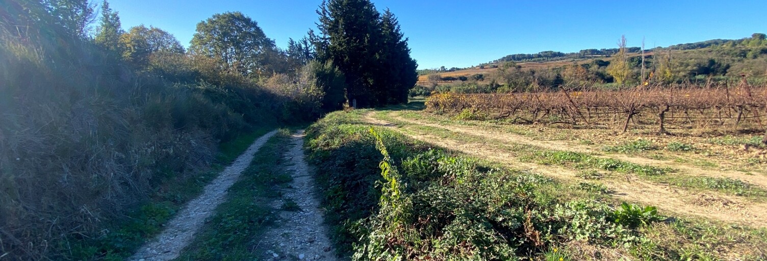 Terrain  2430 m² à vendre à Quarante (34310)