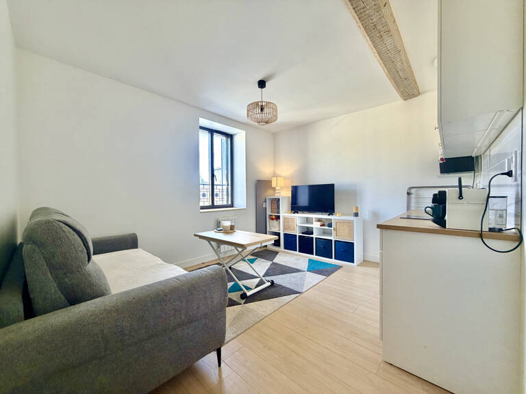 Studio rénové de 19,1 m2 au coeur de La Tour-de-Salvagny — photo 1