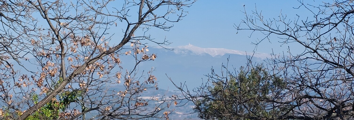 Photo N° 2