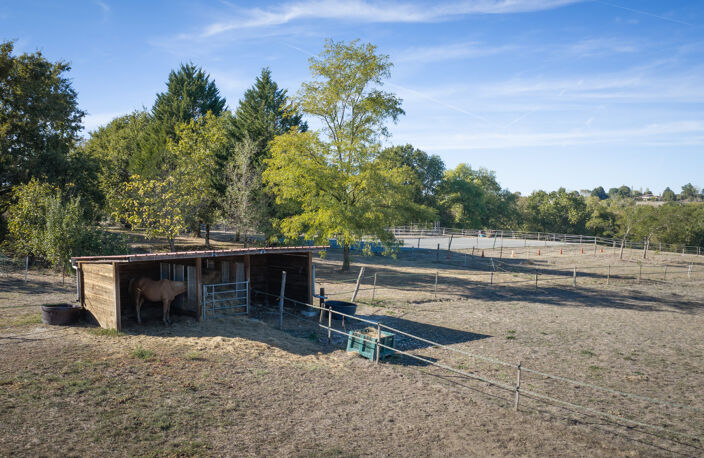 Propriété équestre en pierre de 350 m2 sur 10 hectares — photo 3