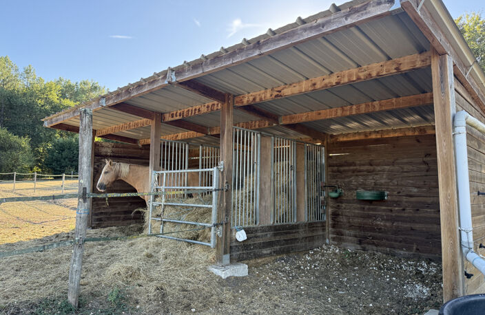 Propriété équestre en pierre de 350 m2 sur 10 hectares — photo 4