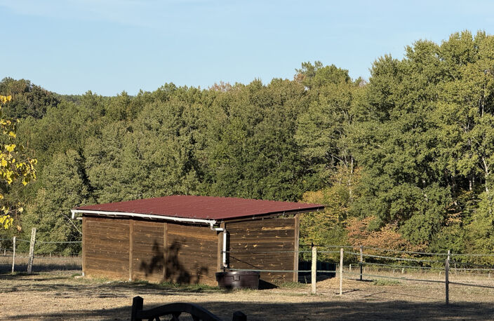 Propriété équestre en pierre de 350 m2 sur 10 hectares — photo 5