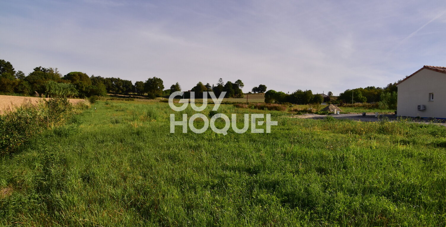 terrain — photo 1