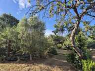 Saint Jacut Les Pins - Maison 111,5 m² - Jardin — photo 4