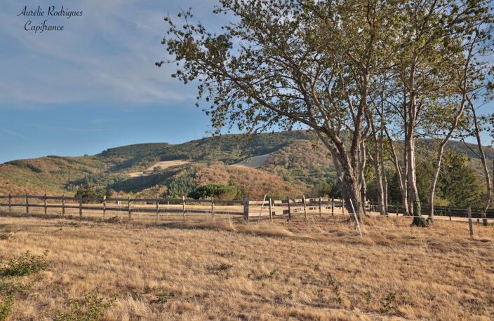 Terrain à vendre  SERRIERES (71) — photo 5