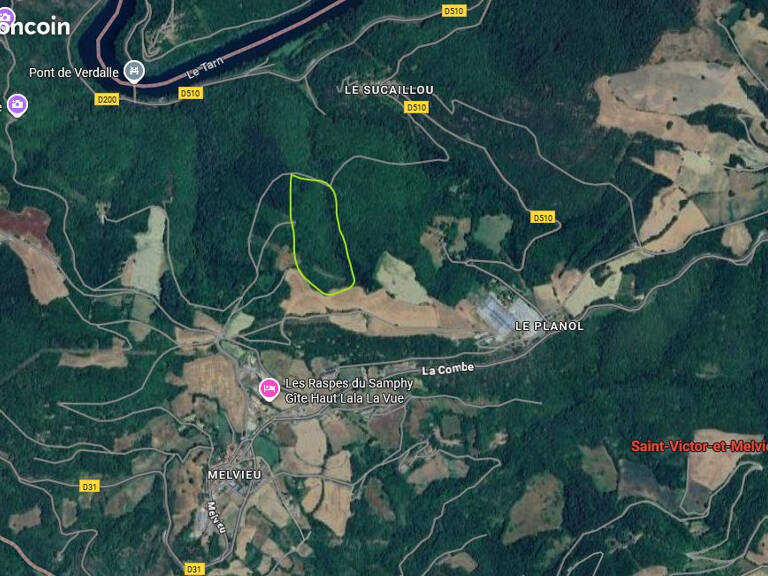 Domaine forestier de 4,3 hectares - Bois de châtaigniers et chênes à Saint-Victor-et-Melvieu — photo 1