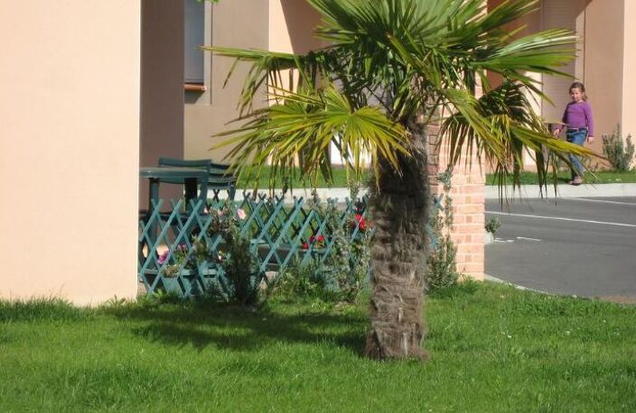 Location appartement 3 pièces 70 m² à Saint-Juéry (81160) — photo 2