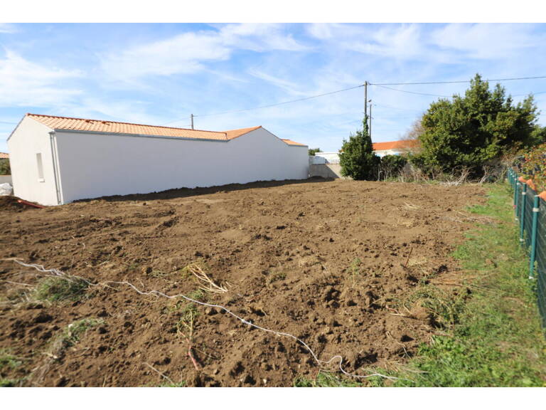 Terrain — photo 1