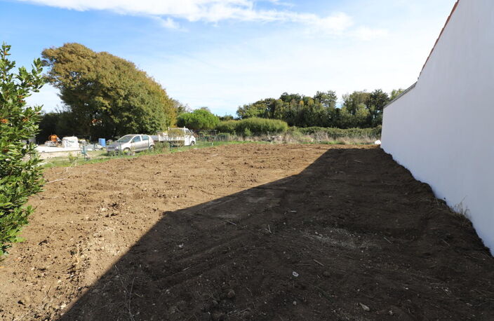 Terrain — photo 3
