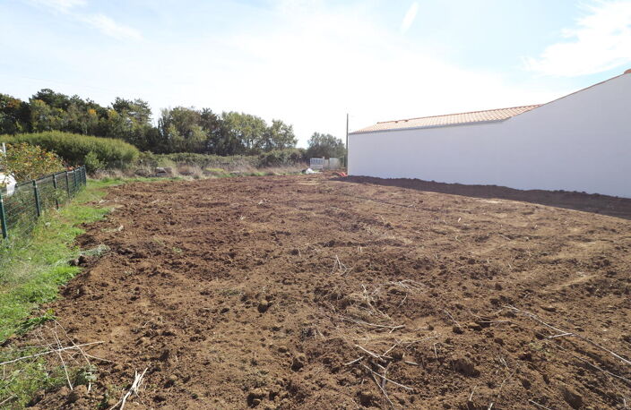 Terrain — photo 5