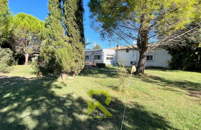 EXCEPTIONNEL  A SAISIR SUR 1.4 Hectare de terrain — photo 3