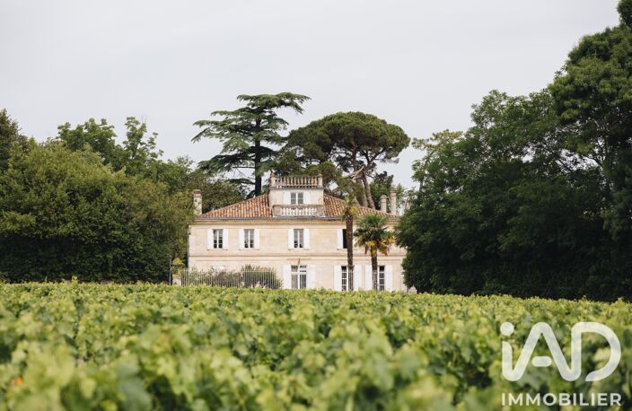 Vente Château 15 pièces — photo 3