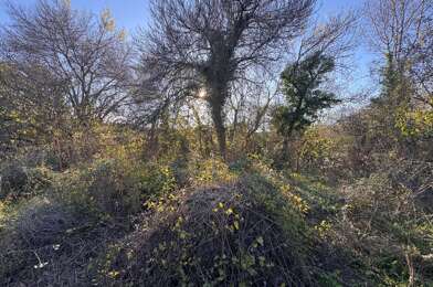 Terrain  310000 €