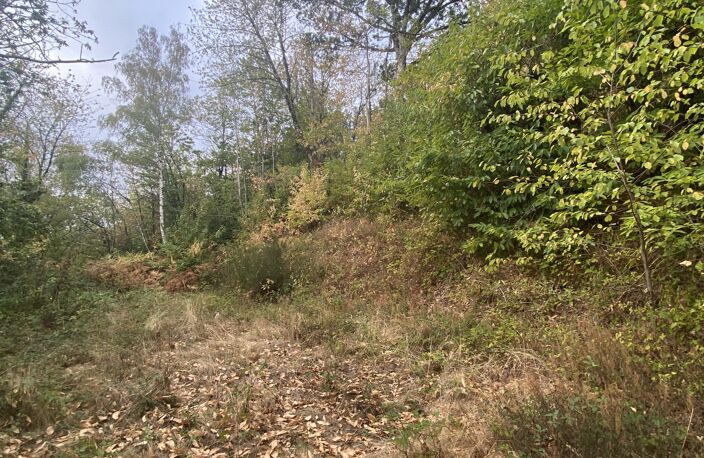 Vente Terrain à bâtir 13 989 m&sup2; — photo 2