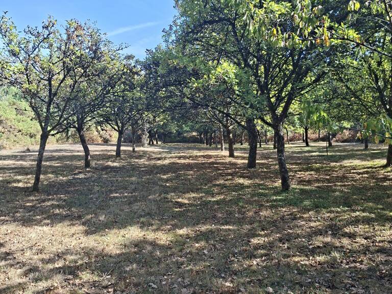 Vente Terrain 16 669 m&sup2; — photo 1