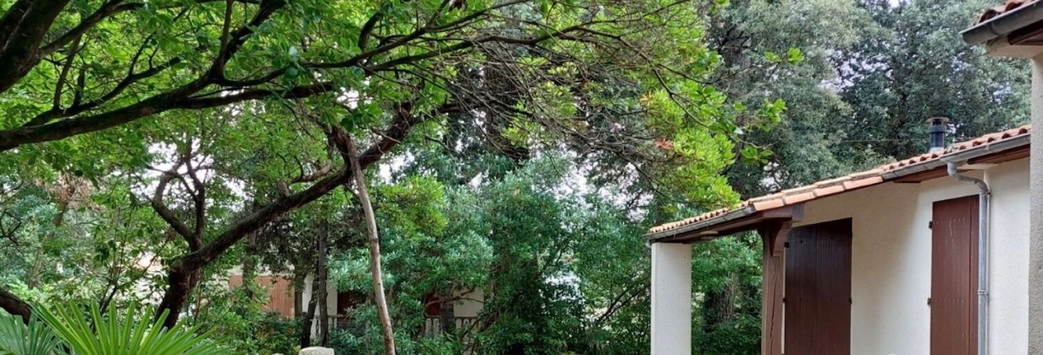 Photo N° 2