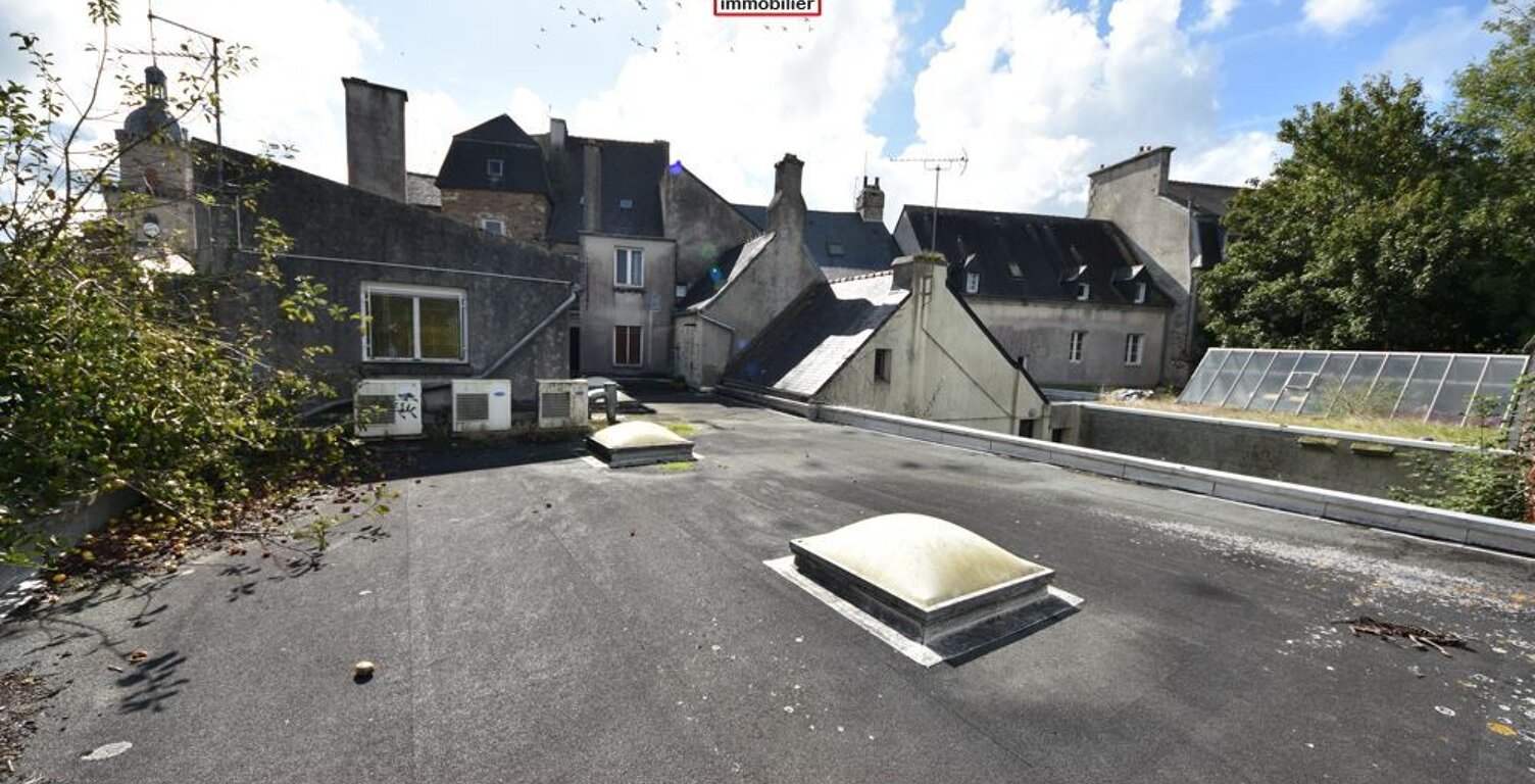 FINISTERE - Lesneven (29260) - A VENDRE - LOCAUX COMMERCIAUX AVEC VITRINE - RESERVE - BUREAU - ATELIER - JARDIN - BEAU POTENTIEL — photo 1