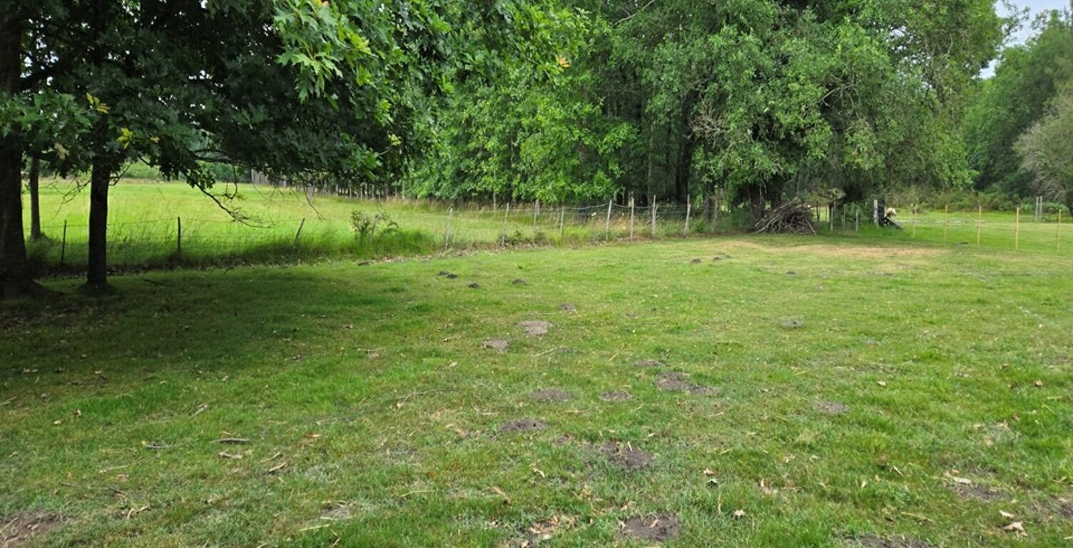 Terrain à bâtir à Saint-Mariens (33620) — photo 1