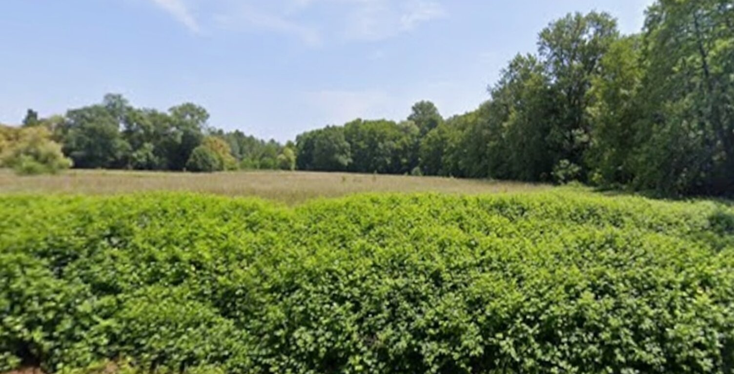 Terrain à bâtir à Cavignac (33620) — photo 1