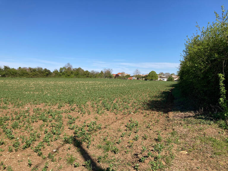 Terrain à bâtir à Champagnolles (17240) — photo 1