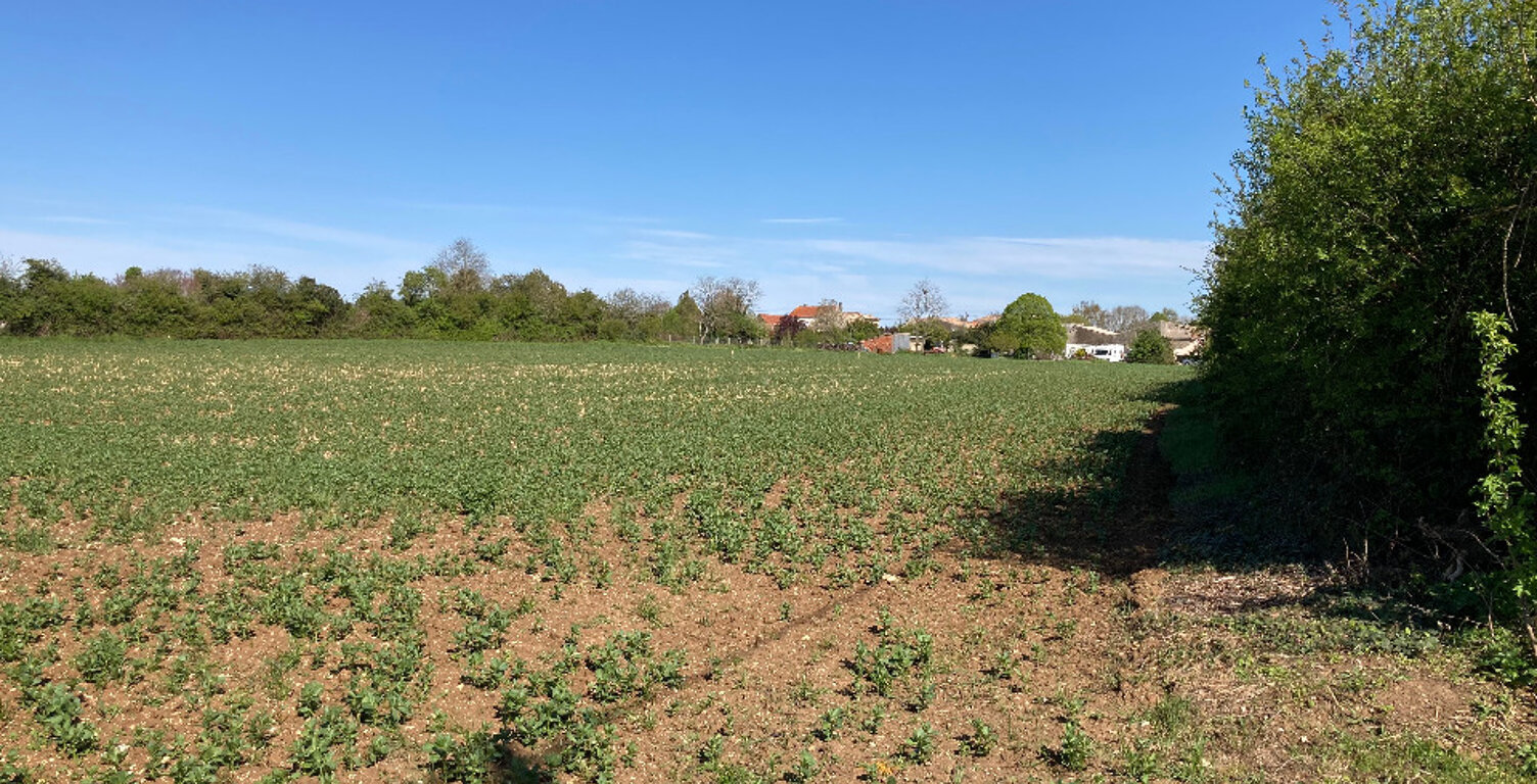 Terrain à bâtir à Champagnolles (17240) — photo 1
