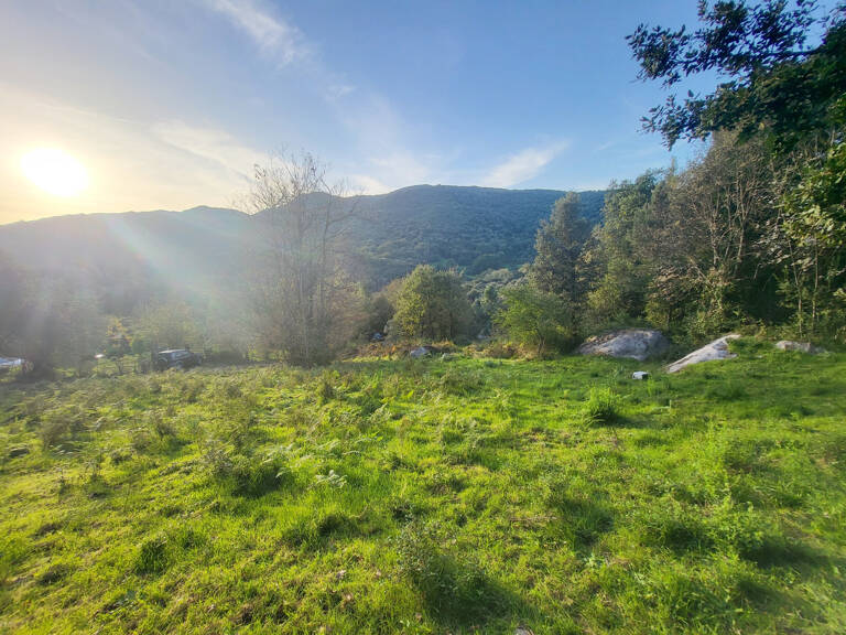 TERRAIN CONSTRUCTIBLE 1500m2 - FORCIOLO — photo 1