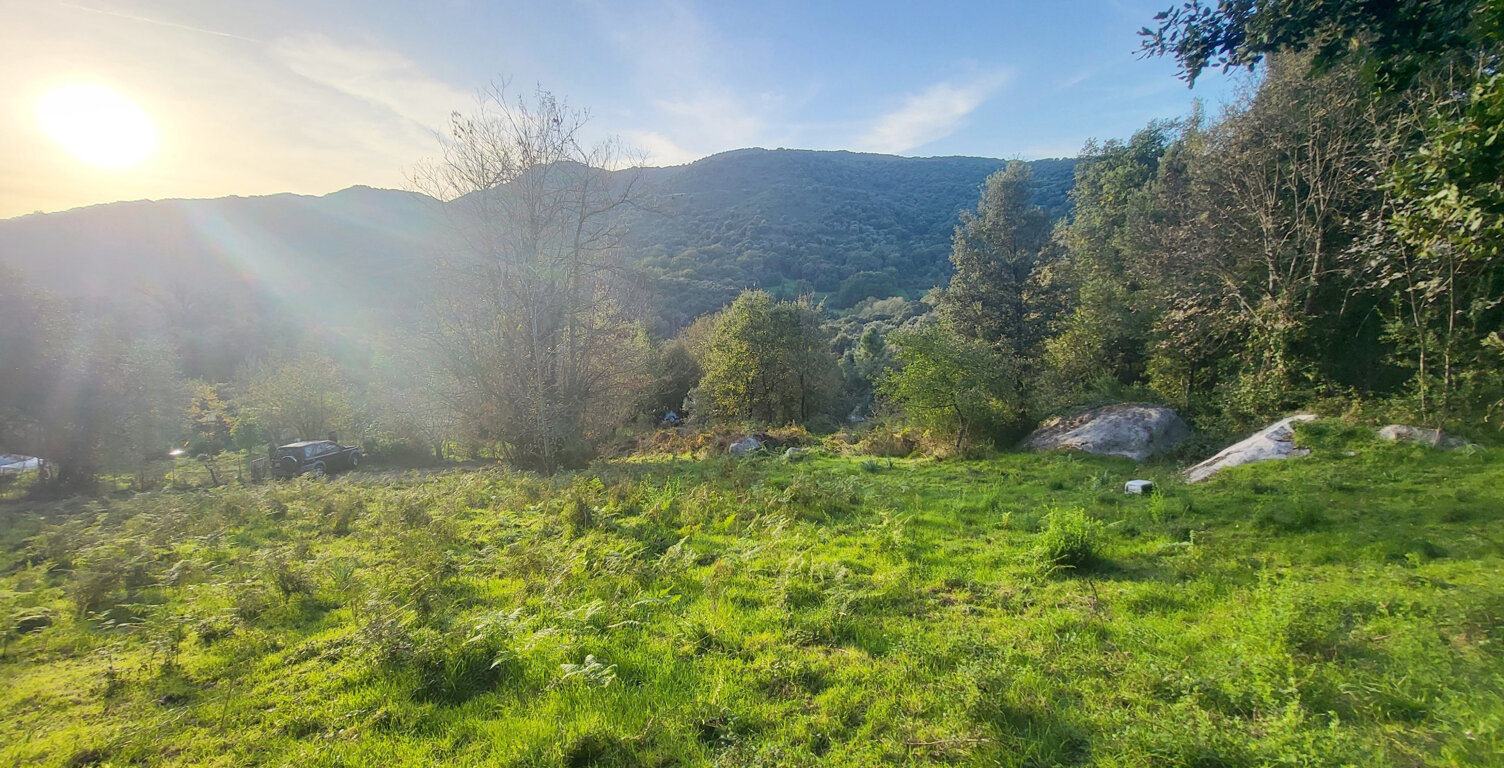 TERRAIN CONSTRUCTIBLE 1500m2 - FORCIOLO — photo 1