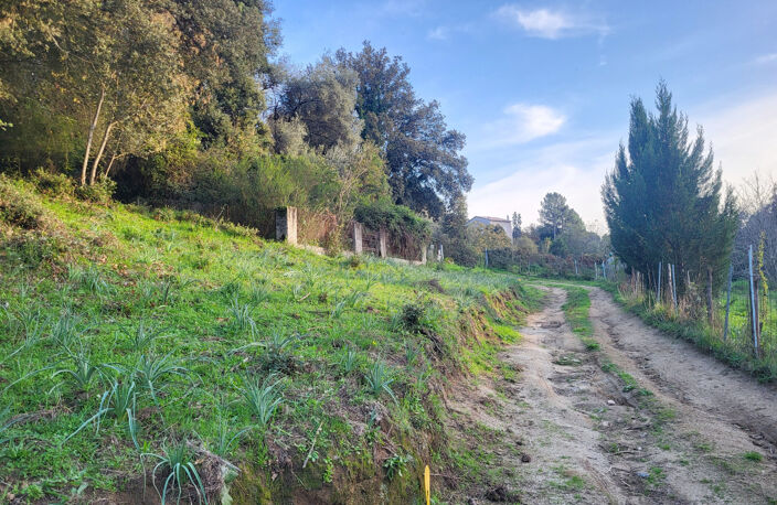 TERRAIN CONSTRUCTIBLE 1500m2 - FORCIOLO — photo 3