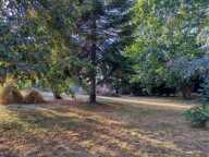 Montauban maison T4 sur secteur St Hilaire au calme absolu! — photo 2