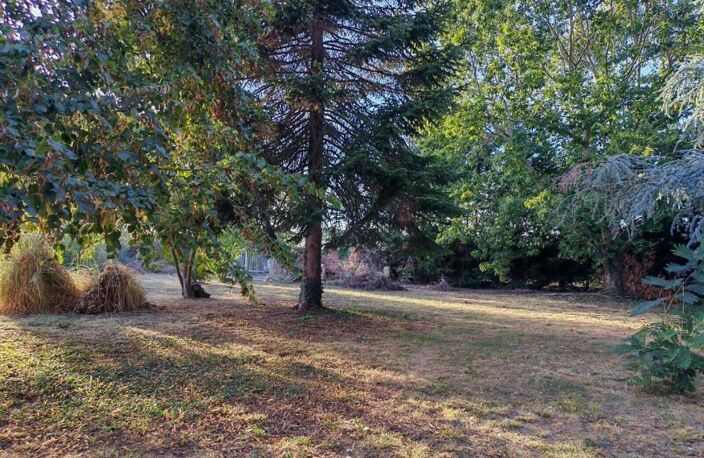 Montauban maison T4 sur secteur St Hilaire au calme absolu! — photo 2