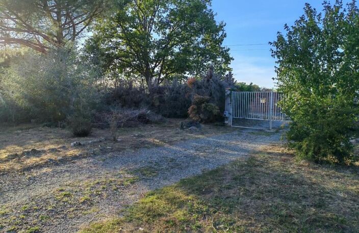 Montauban maison T4 sur secteur St Hilaire au calme absolu! — photo 3