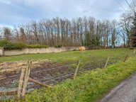 Terrain Cosntructible -Theillay - 1106 m² - — photo 2