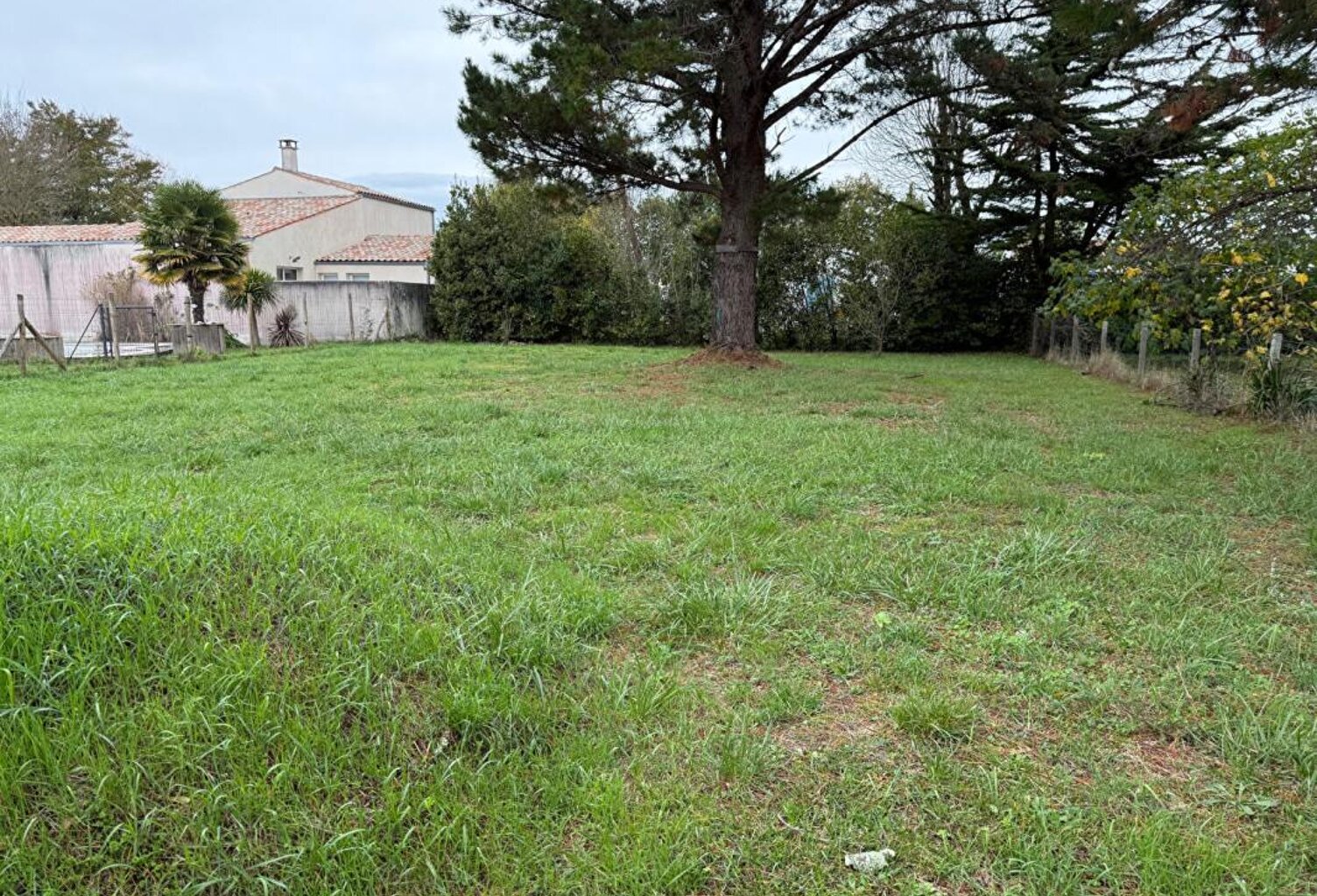 Dept 17 - Saint Georges d'Oléron - Terrain Constructible 784 m² — photo 1