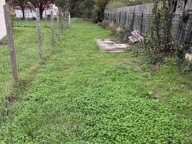 Dept 17 - Saint Georges d'Oléron - Terrain Constructible 784 m² — photo 4