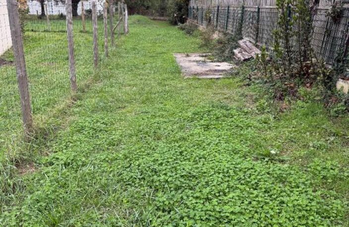 Dept 17 - Saint Georges d'Oléron - Terrain Constructible 784 m² — photo 4