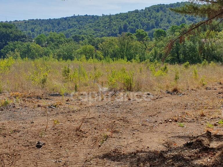 Clermont-l'Hérault (34) : Foncier "Clés en main" 8 700 m² – PA Purgé – 14/18 Lots — photo 1